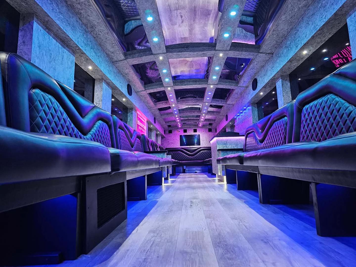 Party Bus (MCI-2) - 45-50 Passengers Interior